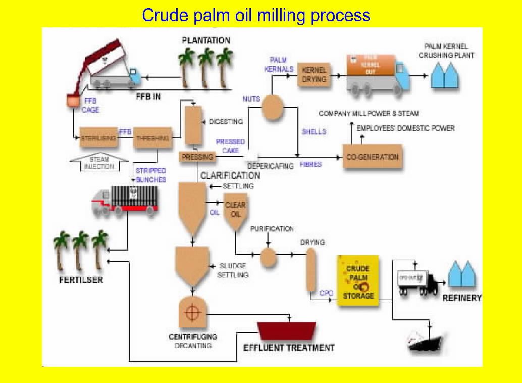 Crude Palm Oil Processing Oil Extraction Plants